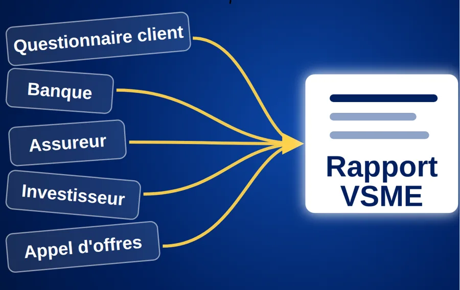 Questionnaire client, banque, assureur, investisseur et appel d'offres répondus par un rapport VSME
